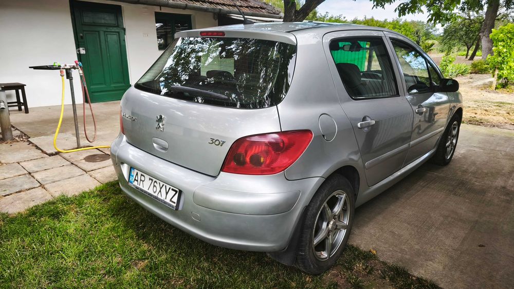 Peugeot 307 1.6 benzina