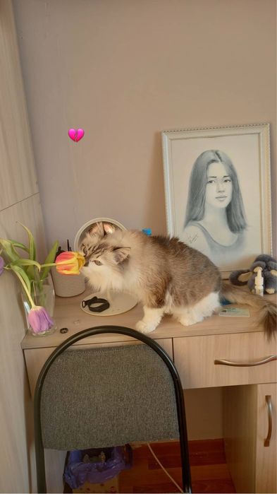 Туалетный столик с полками