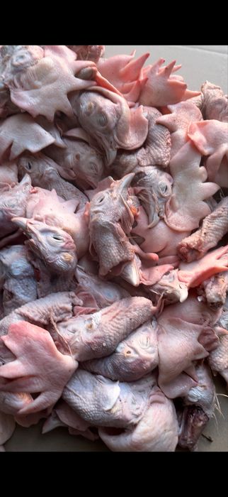 Корм для собак и кошек. Куриные головы