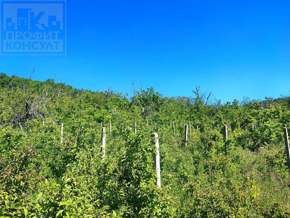 Парцел в с. Шереметя, м-т "Кладенче"