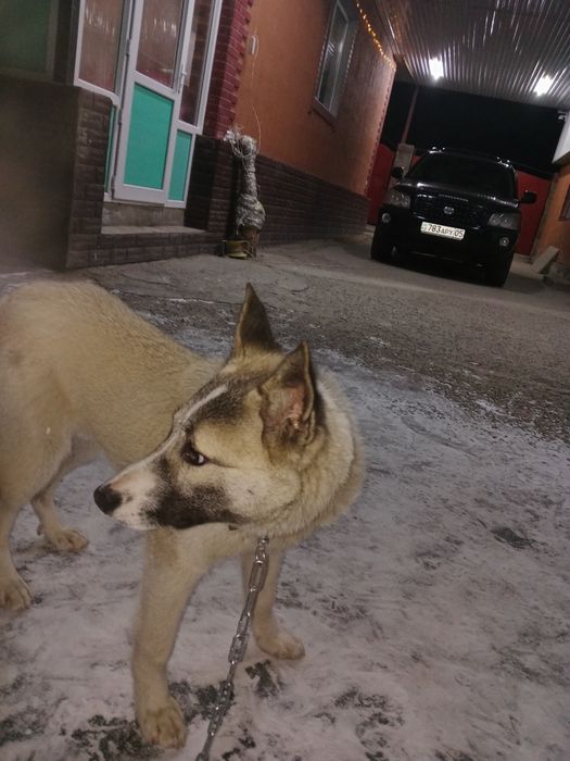 Город талдыкорган