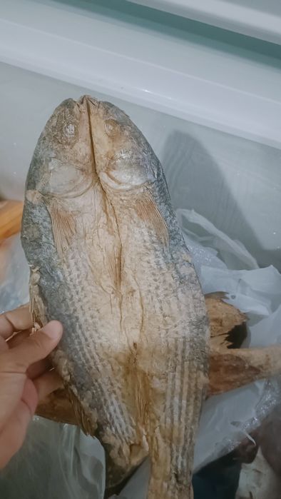 Копчени балық кефаль