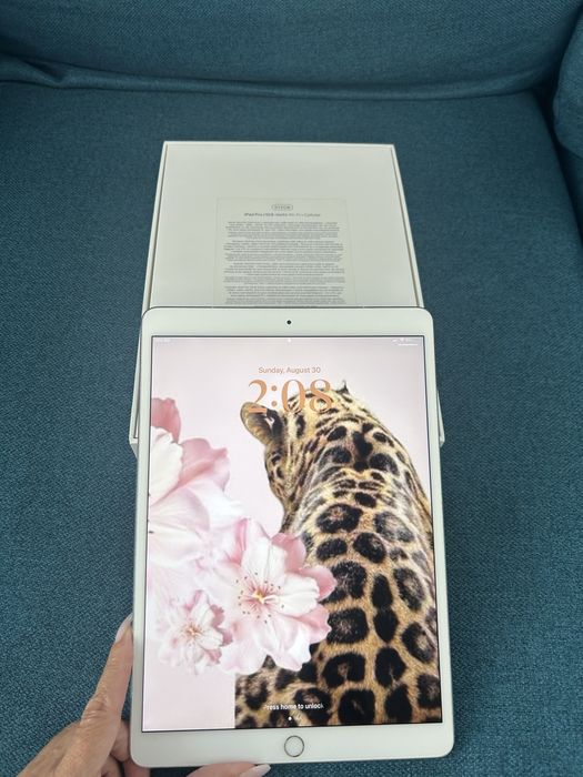 iPad Pro 10.5” 512GB Wi-Fi + Cellular Silver | Impecabil + Cutie