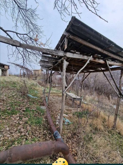 Богишамол Дача сотилади