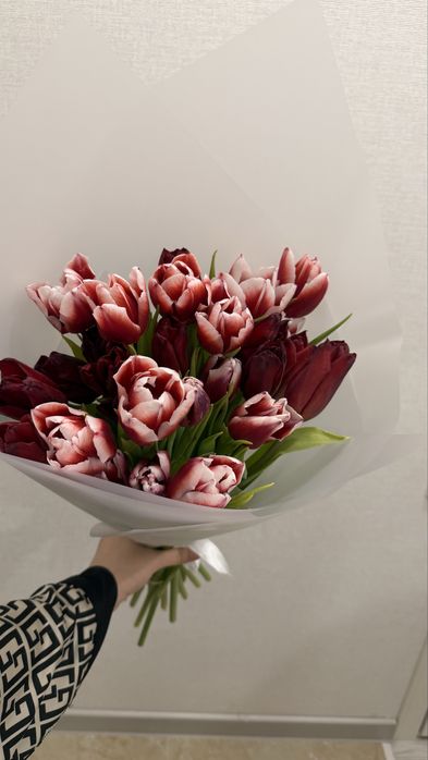 Цветы тюльпаааны