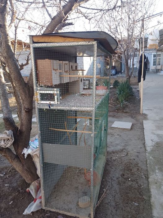 Куш у́йчаси сотилади.