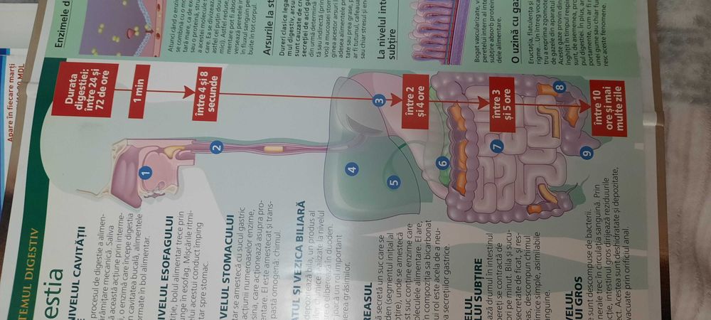 Interiorul Corpului Uman, Corpul Omenesc, 3 volume, 100 lei