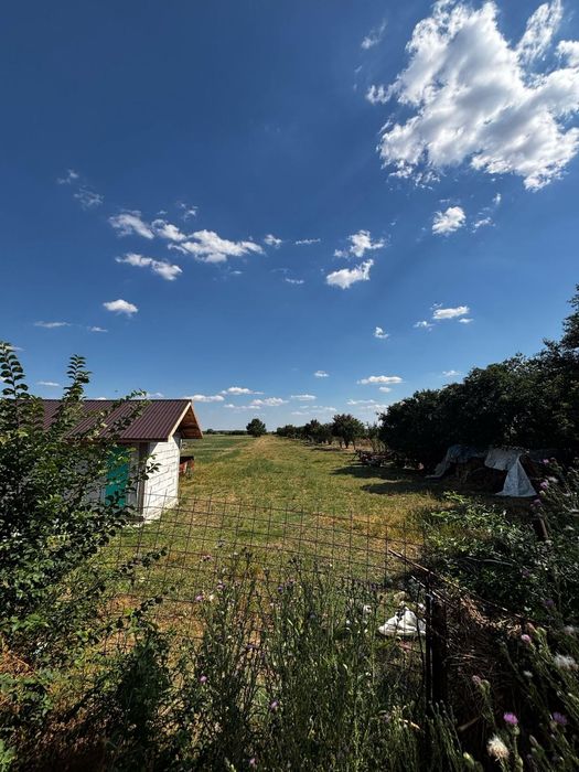 Teren intravilan 3.025 MP + CASĂ LA ROȘU | BUTIMANU, DÂMBOVIȚA | ACCES DJ 140