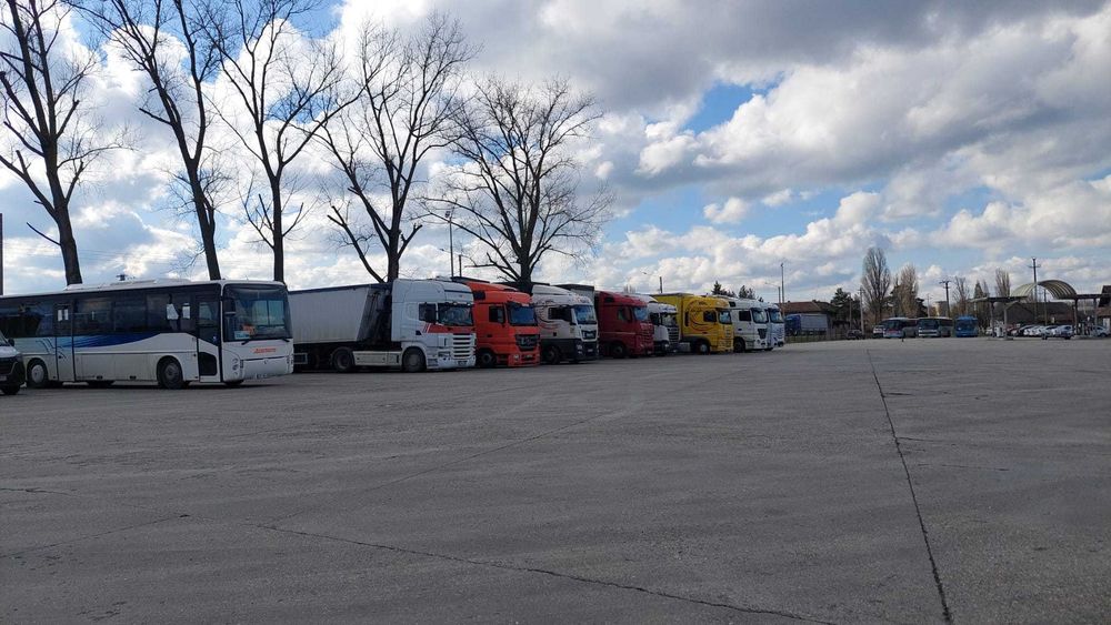 Centrul Auto Pecica - Platforma Betonata De Inchiriat sau Vanzare