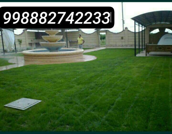 РУЛОННЫЙ газон с доставкой и укладкой