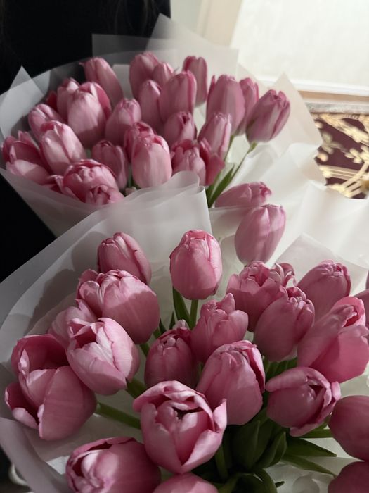 Букет розовых тюльпанов