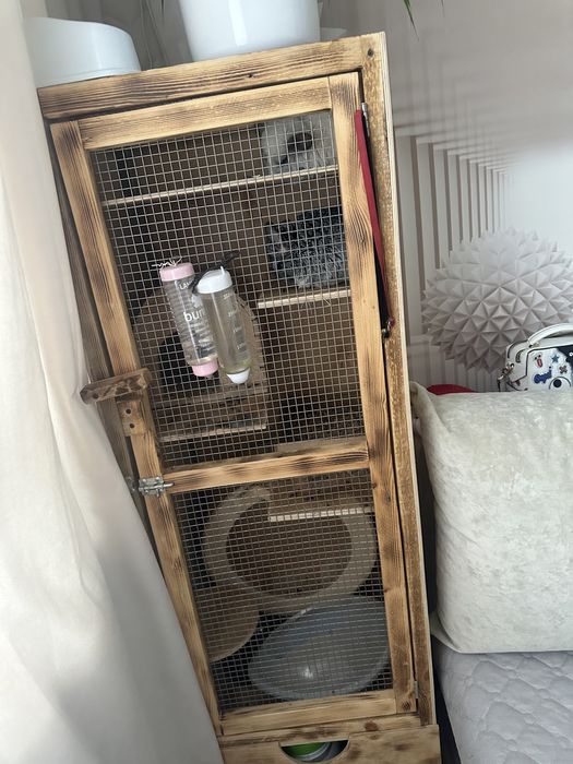 Продам двух шиншилл