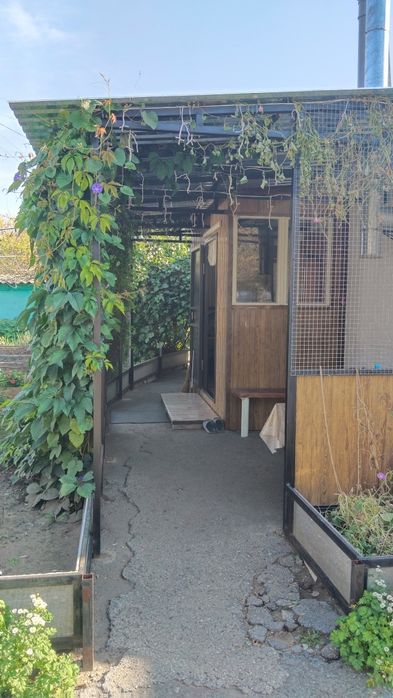 Продам 3к дом с.Б-Чураковка