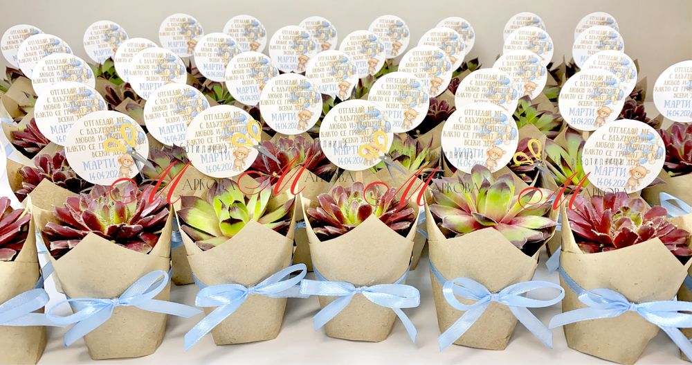 Сукуленти,подаръци за гости,кръщене,подаръци за гостите,подаръци цветя