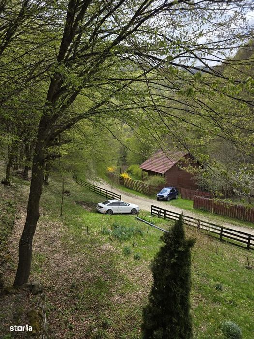 Cabana Iezer Ighiel – panorama superba, liniste si potential de inve