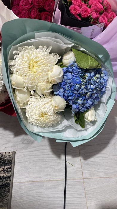 гулдер сатылады свежый