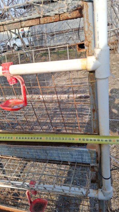 Tovuq Katak Sotiladi