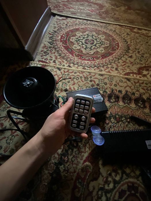 Serena migalka sotilad