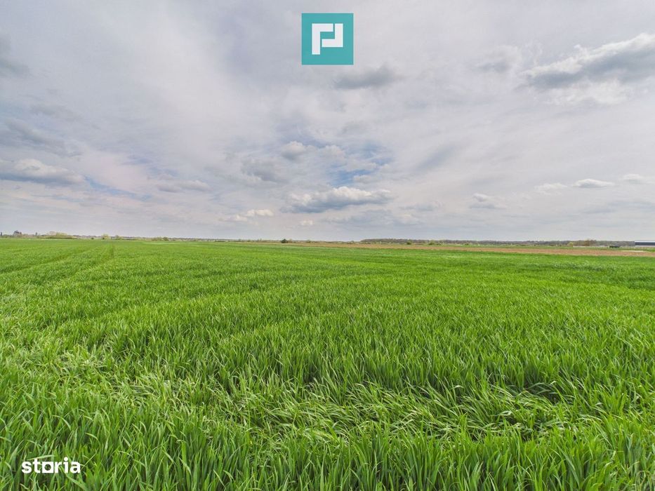 Teren extravilan 19.900 mp – Giroc centură