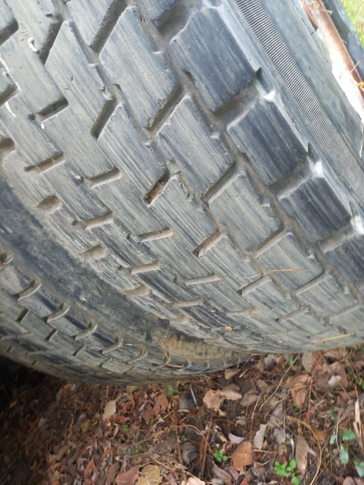 Motor - punte spate , Man silent 19.403 , motor 11967 cc , 294 kw