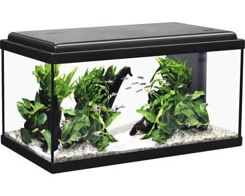 Acvariu Aquatlantis Advance Led 60x30x34 cm negru