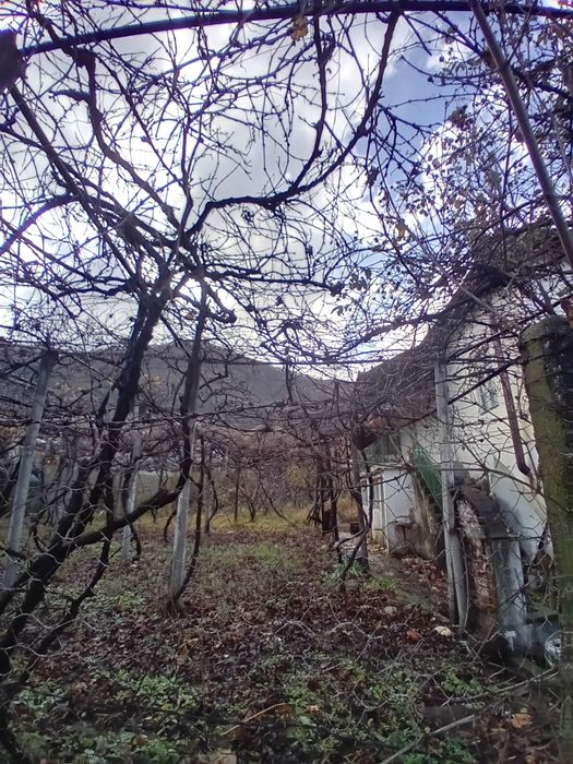 Продава се Къща в Петрич - 1700 кв.м за 39 €/кв.м - Снимка #1