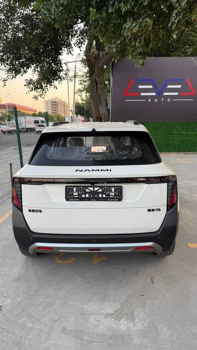 Dongfeng Nammi 06 2025