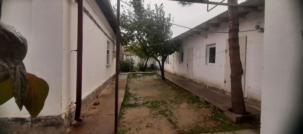 Продается участок Троицк бустон санатория: 90 000 у.е. - Продажа Чирчик ...