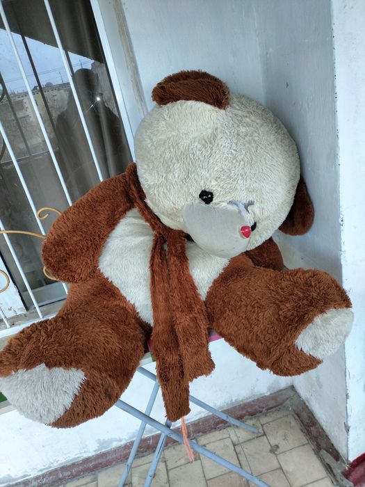 Kup narsala bor pasuda kurpacha