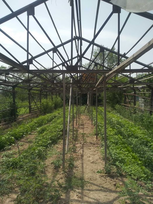 Теплицу металлическую