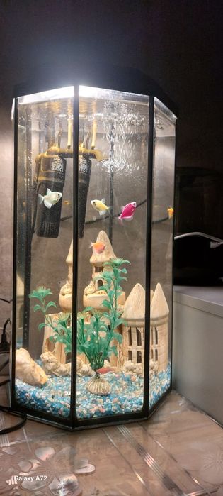 Аквариум с рыбками