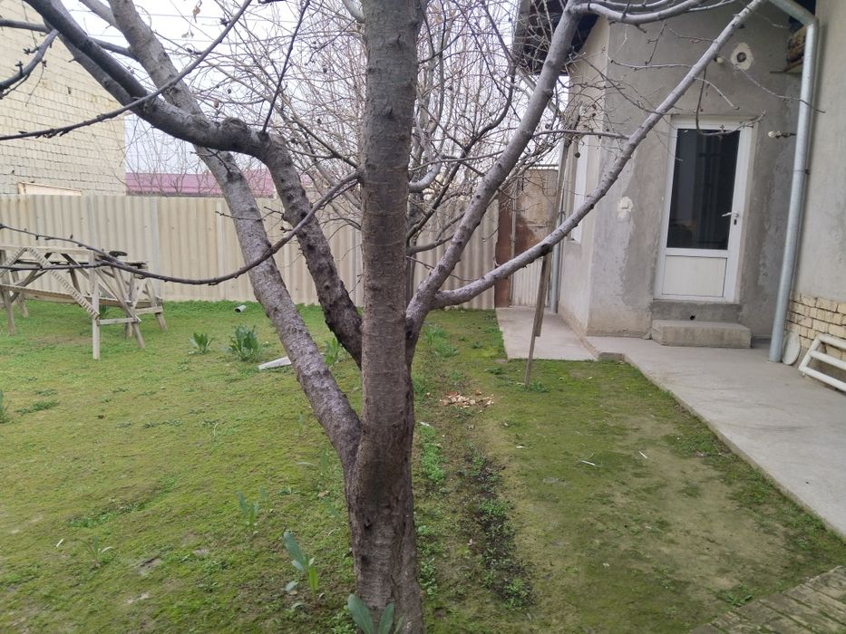 Продается дом 2 сотки. Хасанбай. Срочно!!!