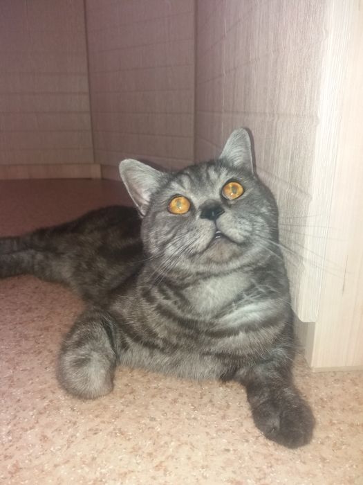 Ищу подругу для встречи