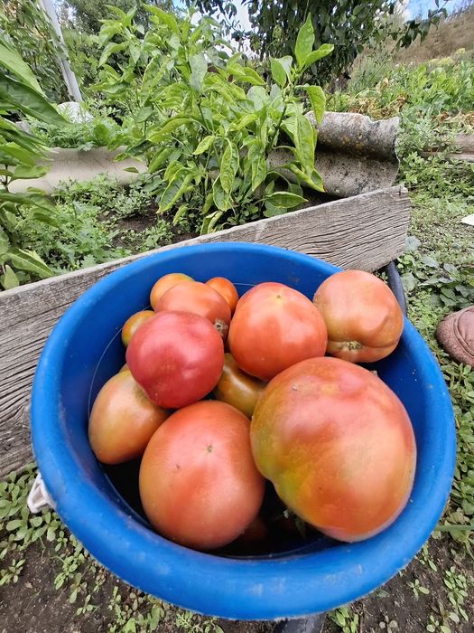 Продам Дачу Железобетонщик