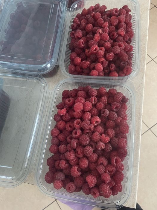 Zmeura caserola 1 kg