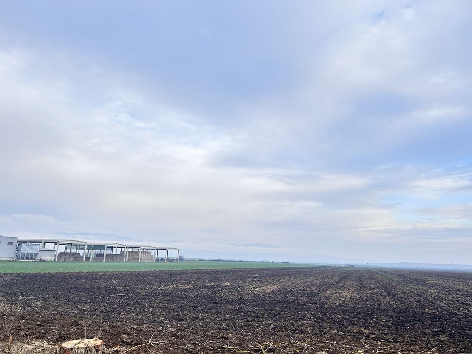 Vand teren extravilan, Sebes, pe drumul vechi al Pianului