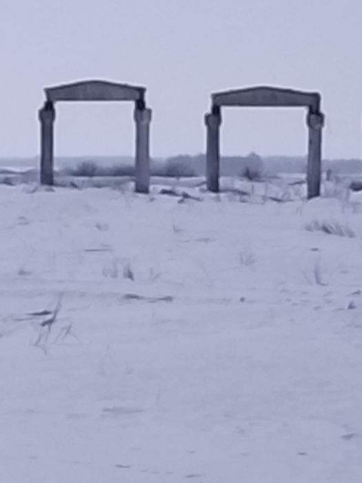 КРС.телки.телята.