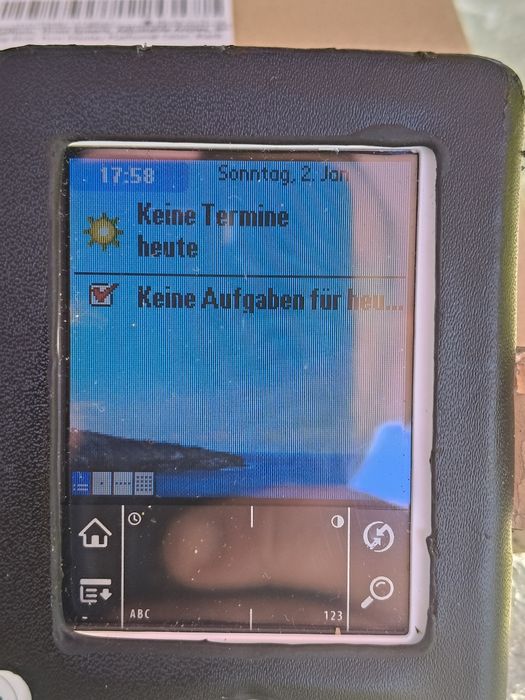 De colecție/ Vintage -Palm z22