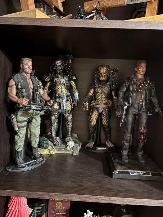 Коллекционные модели