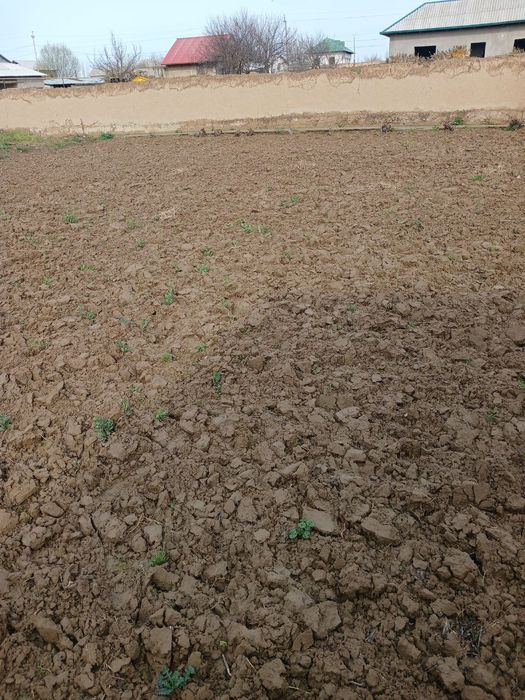 4 sotix yer yangiyol