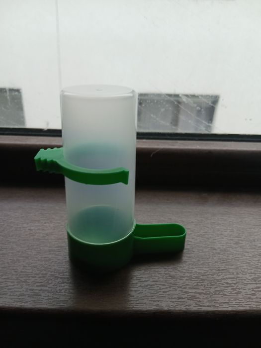 Vânzare papagali Rosela și Nimfe