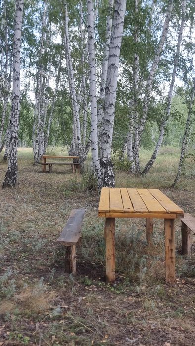 Отдых за городом