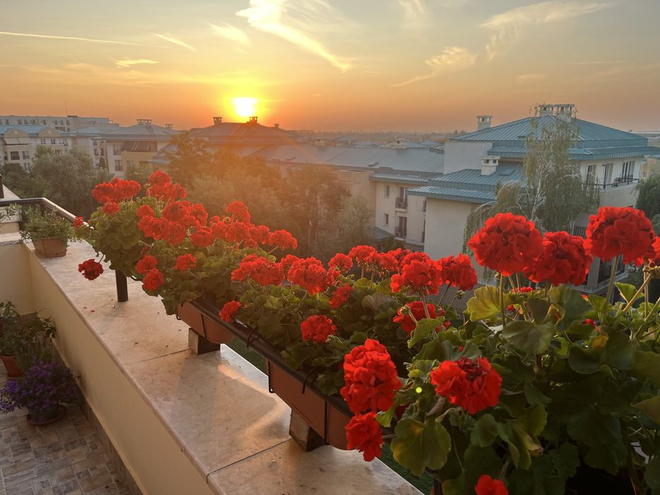 VANZARE apt 3 camere