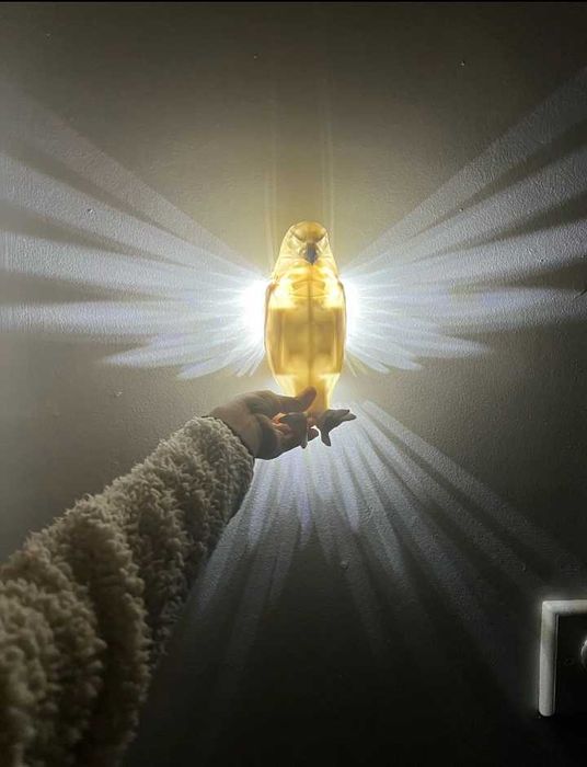 лампа "орел/сокол"; Спотове за стена, абажур за кухня/коридор