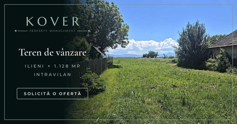 Teren de vanzare, Ilieni