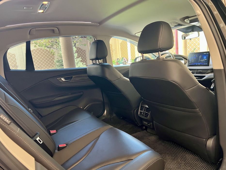 Hongqi E-QM5  Kraska Tozza 100%