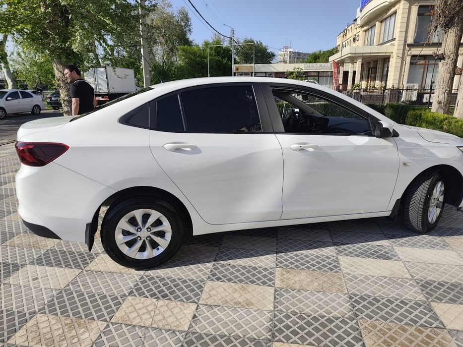 Онекс. Ок. Без. Лук. Йил. 2024