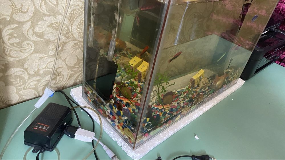 Аквариум на 55 литр