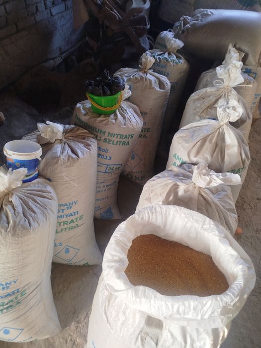 Beda urugʻi sotaman