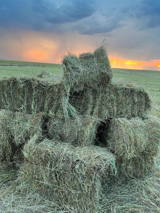 Продам сено в тюках